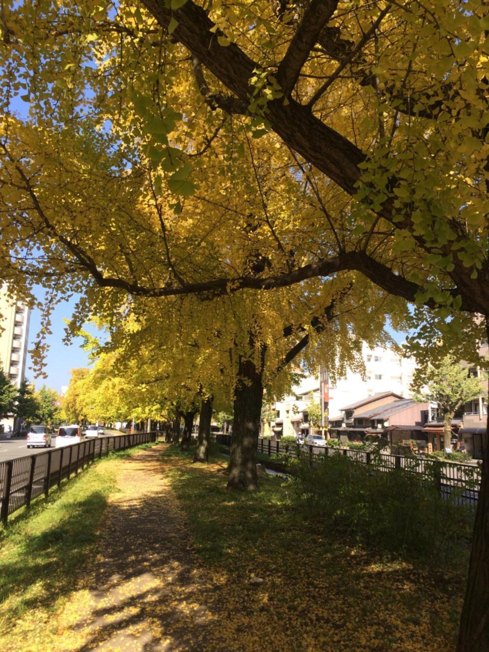 Ichijo Premium Villa Kyoto Eksteriør billede